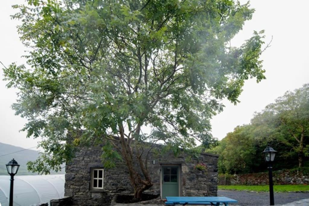 Fermoyle Properties Glynn'S Cottage Fanore Extérieur photo